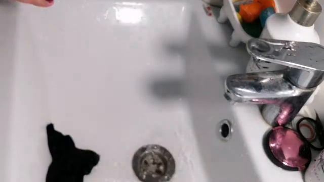 Мою посуду, экономлю воду! смотреть онлайн