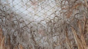 маскировочная сеть своими руками