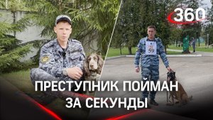 Чемпионат ФСИН России по многоборью кинологов стартовал в Подмосковье