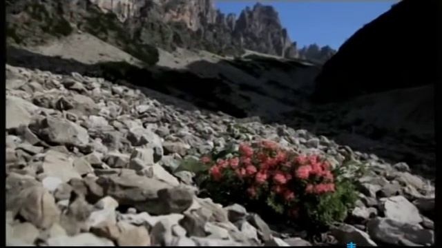 Intervento di Luca Strazzaboschi - SentieriNatura 2014 - 06 смотреть онлайн