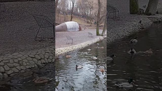 Оче...Видное...