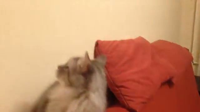 Актриса малого смотреть онлайн