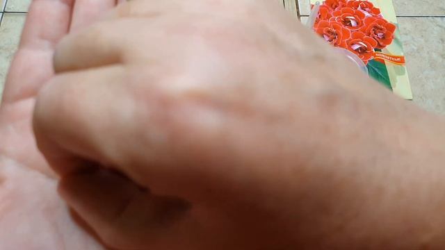 новолуние 9.08.21год посев глоксиний и тидей в ожидании чуда. #глоксиниитидеи #посевглоксинийитидей смотреть онлайн