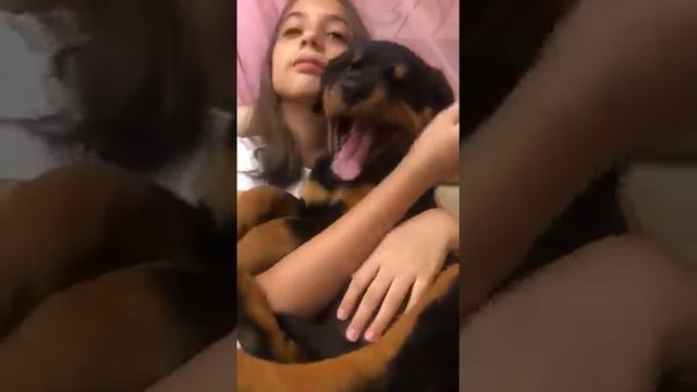 Хорсман'с Стайл Патрисия Владелец: Оксана, Санкт-Петербург смотреть онлайн