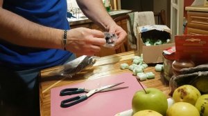 Walbro gss 342 fuel pump for turbo 4G92