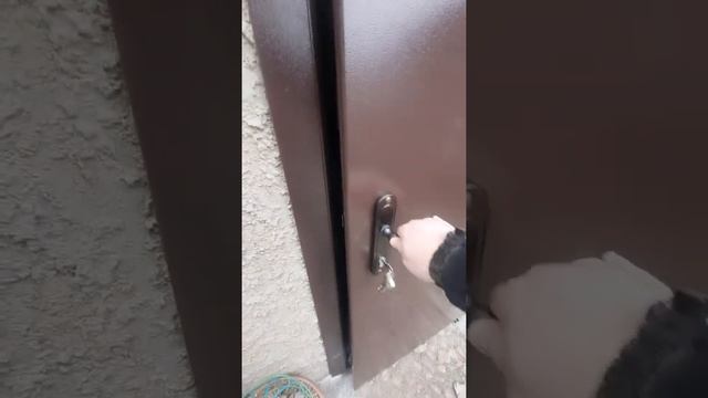 Металлические Могилевские двери