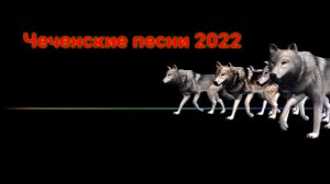 ? Чеченские песни 2022 ?