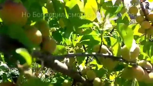 " Сегодня Бог проснулся утром рано " смотреть онлайн