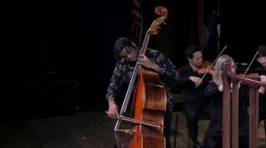 VANHAL double bass concerto