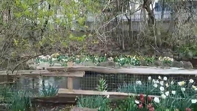 Наушники переводчик Timekettle WT2 Edge/W3 та неудачна Рибалка Канада смотреть онлайн