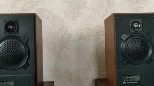 Радиотехника S20А (6ас-221)