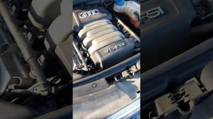 Ауди 2.8 fsi   стук