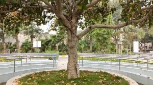 Школа Раджа Йоги. Гургаон. Ретрит Центр 14