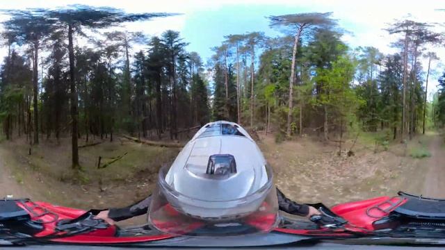 Поездка в лес на квадроцикле. Лето 2023 года. смотреть онлайн