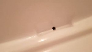 Холодильник BEKO скапливается вода под ящиком для овощей.