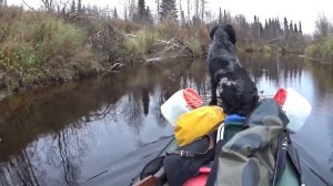 Осеннее путешествие по северным рекам ч2. Один в глухой тайге. Жизнь в лесу. Одиночный поход - спла