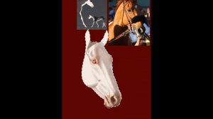 ~Рисую~|Просто конь|