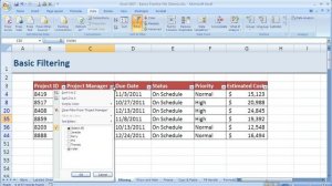 How to Filter in Excel 2007 (Excel 07-014)