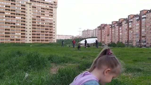 Влог За два Дня/Гуляем в мкр Губернском Краснодар/Первая клубника?/Будни мамы/Жизнь в Краснодаре
