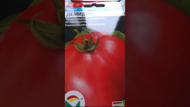 Раннеспелый Урожайный Вкусный томат Демидов. Early-Maturing Vintage Delicious tomato Demidov.