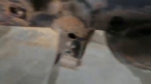 Рама Kia Sportage 1