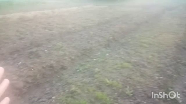 голос восстановился//научилась косить траву//собаки всех рвут смотреть онлайн