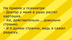 Анекдот на приёме у психиатра. Анекдоты TV! Короткие Приколы! Смех! Юмор! Позитив!