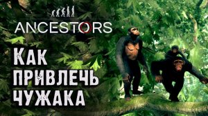 Как привлечь чужака в стаю. Ancestors - The Humankind Odyssey