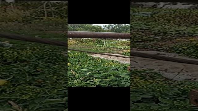 Копаем колодец ч.2