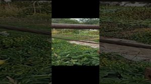 Копаем колодец ч.2