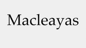 How to Pronounce Macleayas