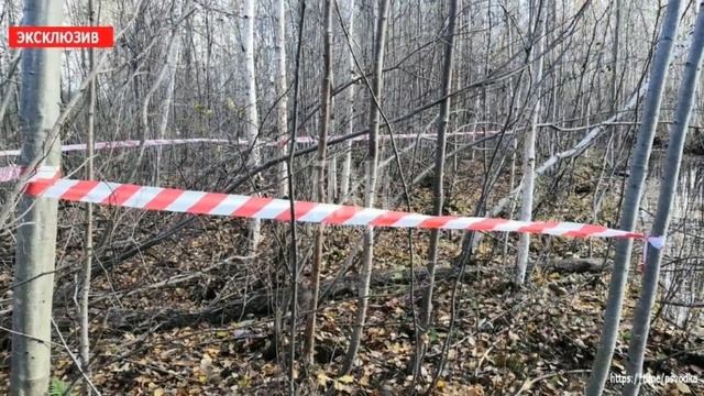 Мужское / Женское. Судьба героев программы. смотреть онлайн