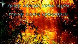 Тыныч йокы, тэмле тош