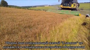Уборка льна классической жаткой и очесывающей жаткой Славянка