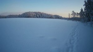 Проверяем самоловки, ловим окуней и щуку