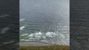 Мыс Тобизина (Владивосток)