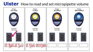 Micropipet volume quiz