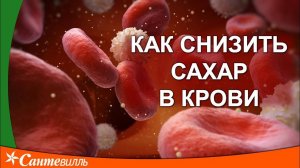 Диабет, лечение, профилактика осложнений | Пища как лекарство