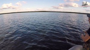 простая рыбалка на колеблющуюся блесну