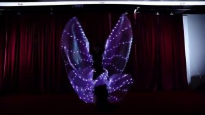 Светящиеся крылья для танца