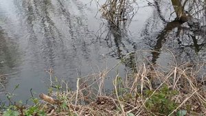 Особые заговоры, избавляющие от пьянства и судорог ног. Обряд от злого глаза.