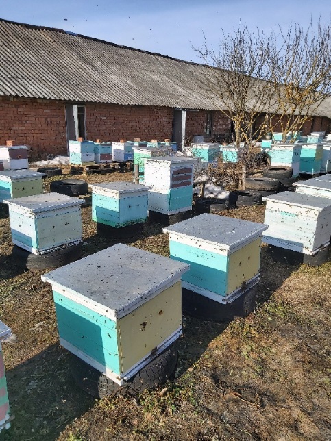 Опять облёт 4 марта, как 9 лет назад смотреть онлайн