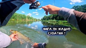 ФРИКЦИОН ОЖИЛ! ВОТ ЭТО ПОКЛЕВКА! РЫБАЛКА НА ЖЕРЕХА И ГОЛАВЛЯ В Июне! Спиннинг на белого хищника.