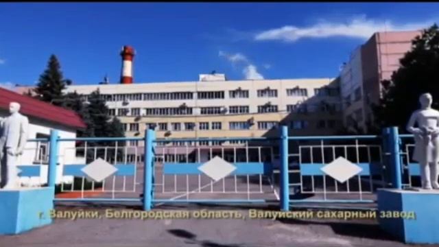 Как делают рафинад сахара.