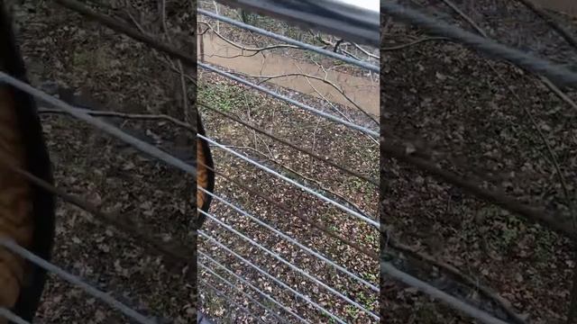 Оцинкованный трос без/с силиконовой оболочкой на улице смотреть онлайн