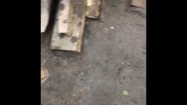 Абиссинская скважина 2700л/ч
