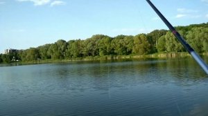 рыбалка в Туле, окунь в парке на отводной