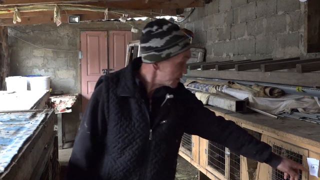 Соцконтракт кролики смотреть онлайн