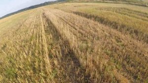 Первая охота на Вяхиря.Много промахов(.Охота2020.Беларусь