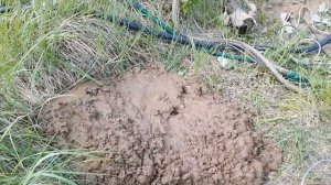 Как избавиться от запаха в колодце